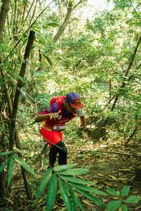 BIB: 
                            <button type="button" onclick="openModal(28159840)" class="btn btn-primary btn-sm float-right btn-popup" data-toggle="modal" data-target=".modal-high-quality">
                        <i class="fas fa-shopping-cart"></i> Add to Cart
                    </button>
                                            <button type="button" onclick="isThisMe(28159840, true)" class="btn btn-success btn-sm float-right btn-popup btn-isme hidden" data-toggle="tooltip" data-placement="bottom" title="นี่คือรูปของคุณใช่ไหม คลิกที่นี่เพื่อเอาเข้าอัลบั้ม">
                        <i class="fas fa-plus"></i> Add to album
                    </button>
                    <button type="button" onclick="isThisMe(28159840, false)" class="btn btn-warning btn-sm float-right btn-popup btn-isnotme hidden">
                        <i class="fas fa-ban"></i> Remove from album
                    </button>